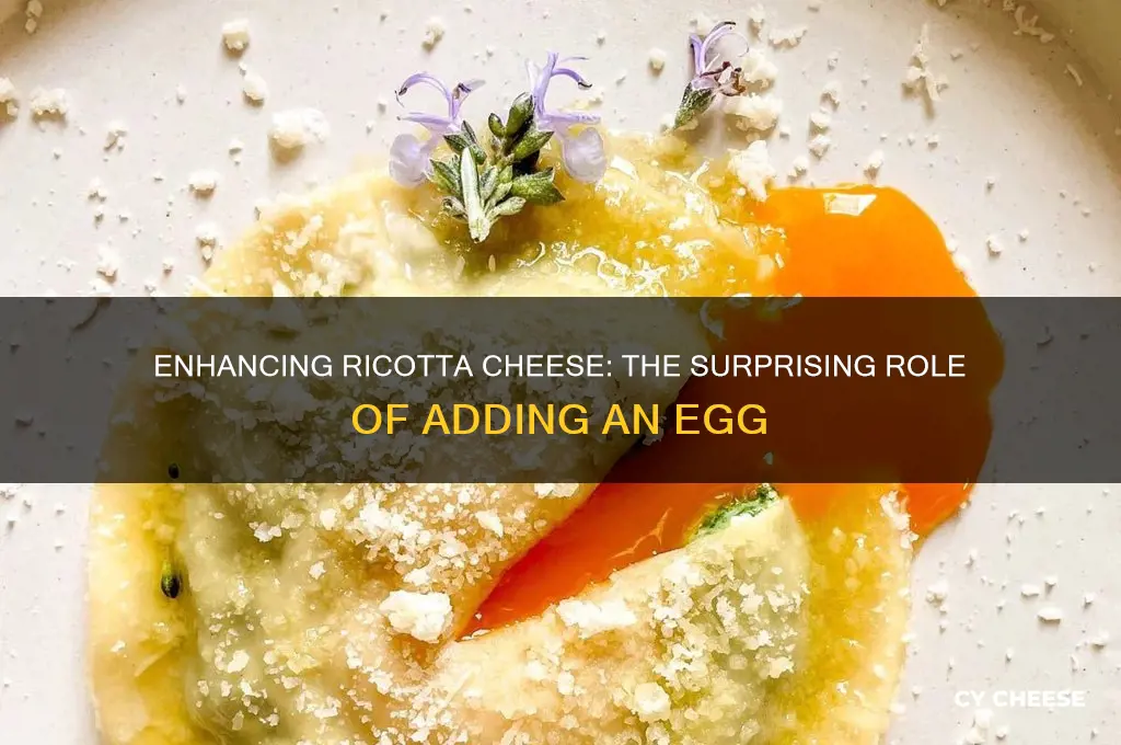 why do you add an egg to ricotta cheese
