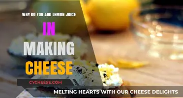 Lemon Juice's Role in Cheese Making: A Coagulant Explained
