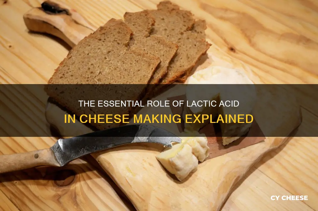 why do you need lactic acid in cheese