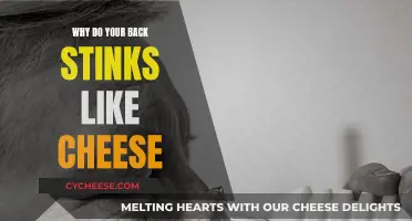 The Stinky Truth: Why Your Back Smells Like Cheese