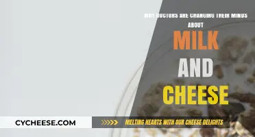 Dairy Dilemma: Why Doctors Are Rethinking Milk and Cheese Recommendations