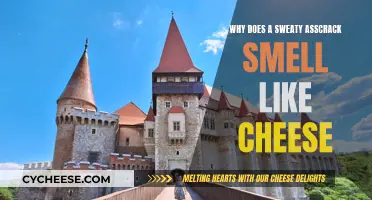 The Science Behind the Cheesy Smell of Sweaty Buttocks