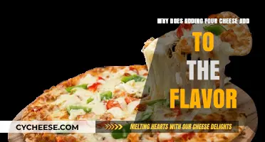 Four Cheese Magic: How Blending Cheeses Elevates Flavor Profiles