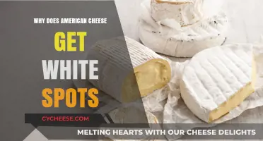 American Cheese: White Spots, What's the Reason?