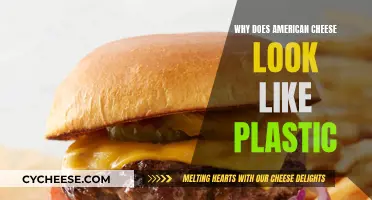 The Mystery of Plastic-Like American Cheese Explained