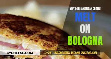 Bologna and American Cheese: Melting Mystery Solved!