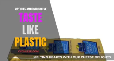American Cheese: Plastic Taste Mystery Explained