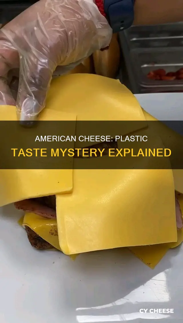why does american cheese taste like plastic