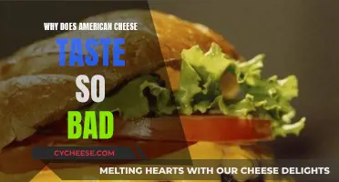 American Cheese: Why Does it Taste Awful?