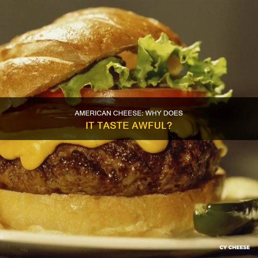 why does american cheese taste so bad