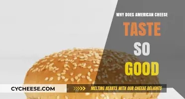 The Irresistible Appeal of American Cheese: Unraveling Its Delicious Secret