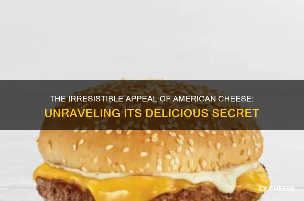 why does american cheese taste so good