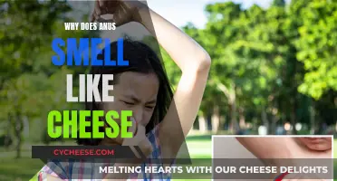 The Cheesy Anus Mystery: Why Does It Happen?