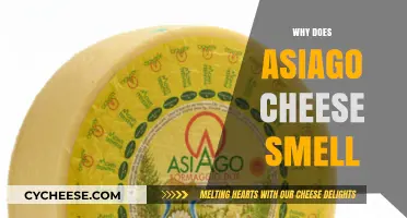 Why Asiago Cheese Smells: Unraveling Its Distinctive Aroma