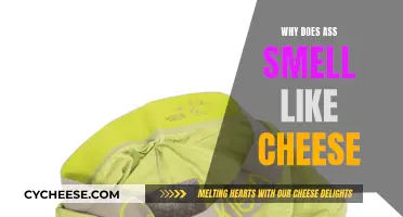 The Science Behind Cheese-Like Odor Emanating From Buttocks