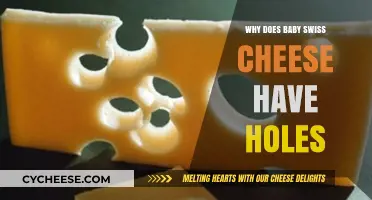 The Mystery Behind Baby Swiss Cheese Holes