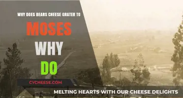 Why Bears, Cheese Graters, and Moses: Unraveling the Odd Connection