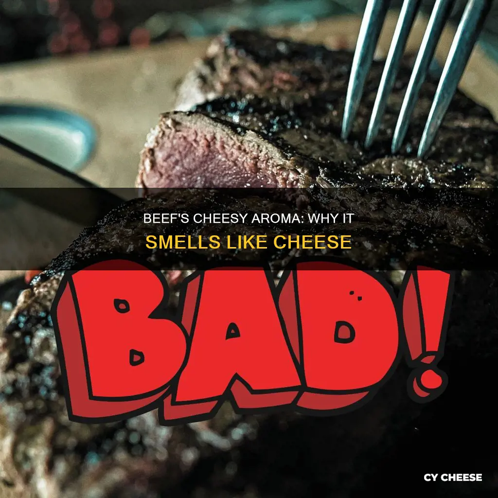 why does beef smell like cheese