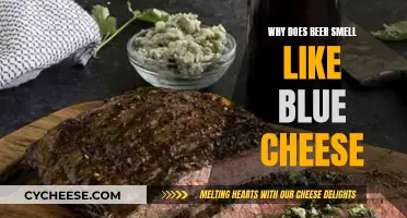 Unraveling Beer's Blue Cheese Aroma: A Curious Conundrum