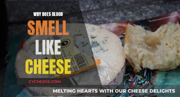 The Strange Smell of Blood: Like Cheese?