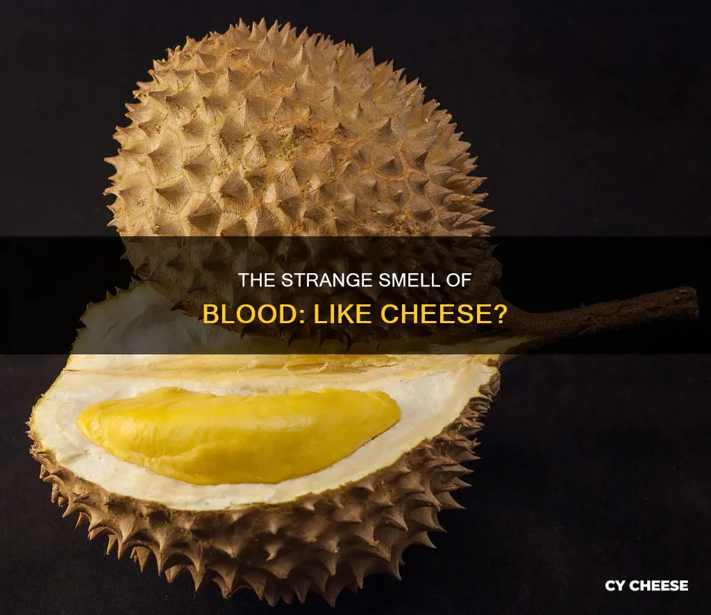 why does blood smell like cheese