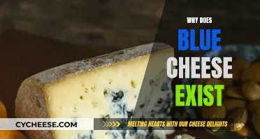 The Evolution of Blue Cheese: Why Does It Exist?