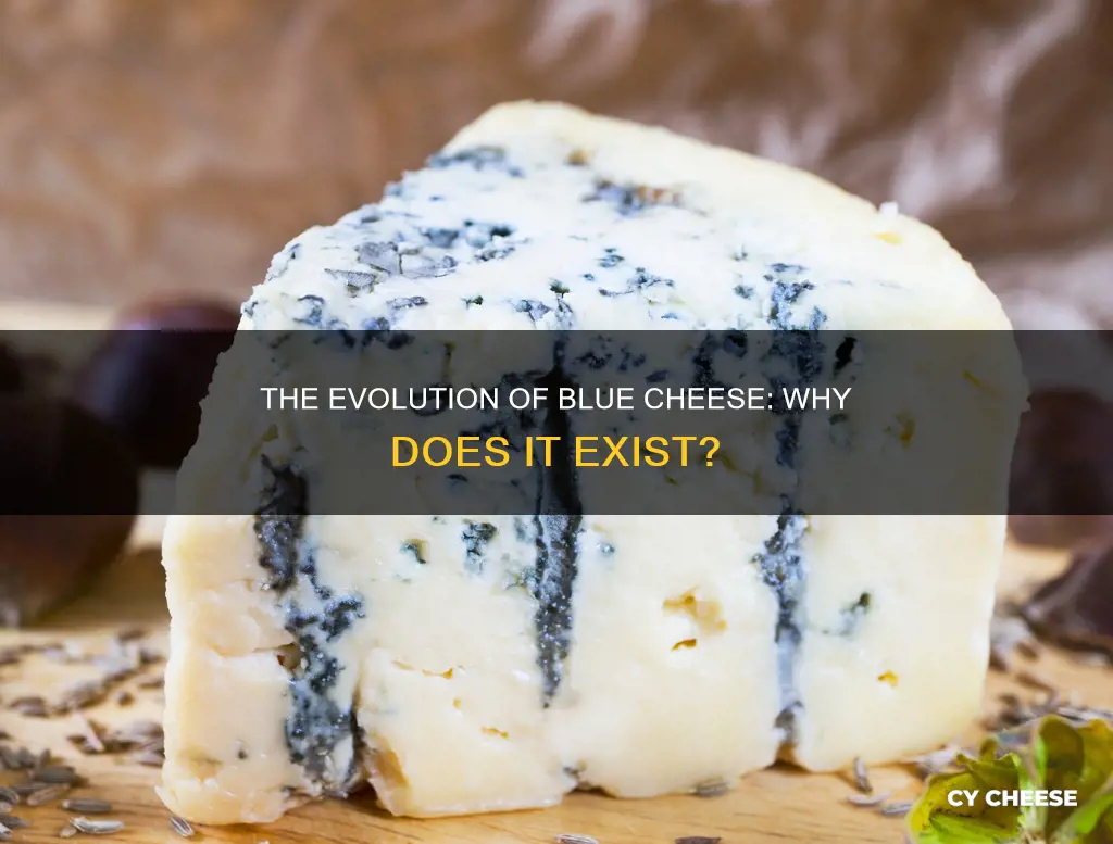 why does blue cheese exist
