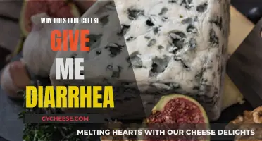 Blue Cheese Blues: Why It Gives Me Diarrhea