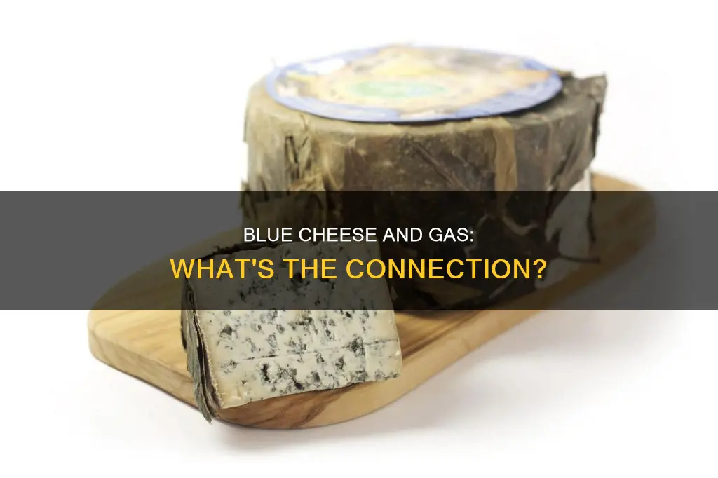 why does blue cheese give me gas