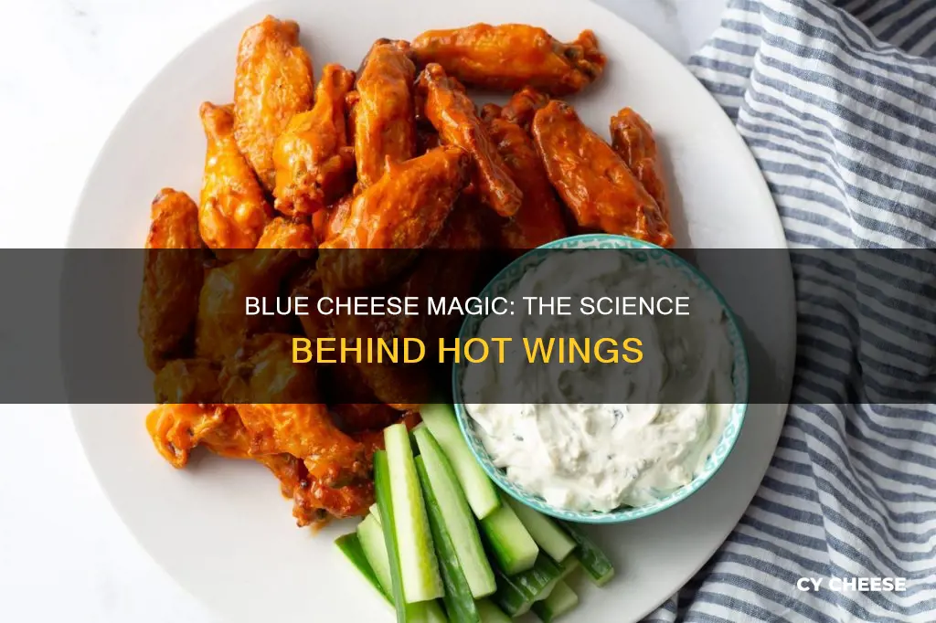 why does blue cheese help hot wings
