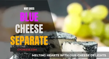 Blue Cheese Separation: Why It Happens and What to Do