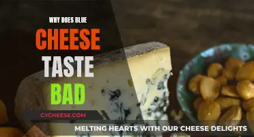 Blue Cheese's Bad Taste: Why Does It Happen?