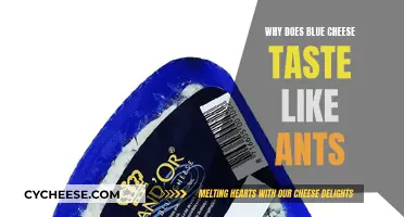 Blue Cheese and Ants: A Peculiar Taste Buddy