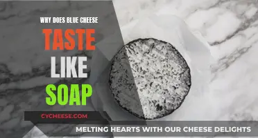 Blue Cheese's Soapy Taste: A Delicious Mystery