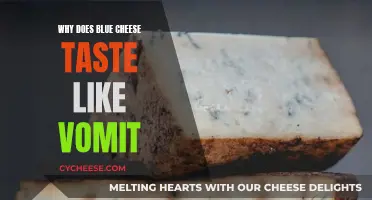 The Science Behind Blue Cheese's Pungent Flavor
