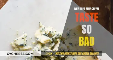 Blue Cheese: Why Does It Taste So Bad?