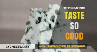 The Irresistible Allure of Blue Cheese: Unraveling Its Unique Flavor