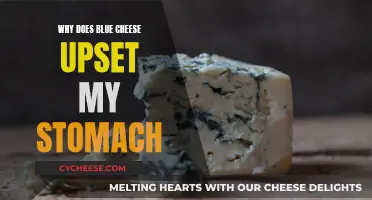 Blue Cheese Blues: Why It Upsets Your Stomach