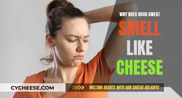 The Science Behind Cheese-Like Smelling Boob Sweat