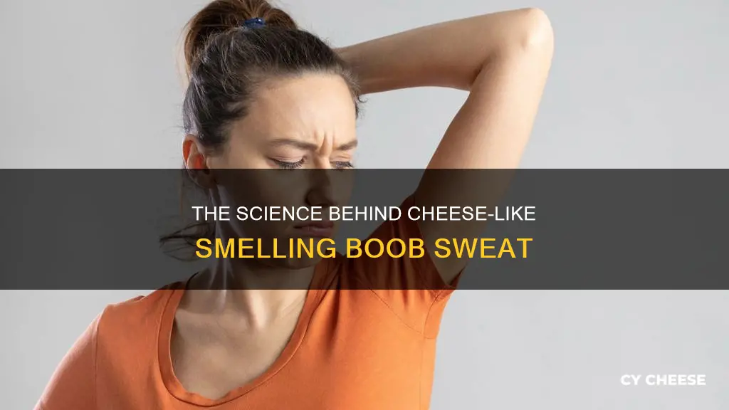 why does boob sweat smell like cheese