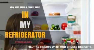 Why Bread and Cheese Mold in Your Fridge: Causes and Prevention