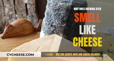 Brewing Beer: That Cheesy Aroma Explained