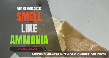Brie Cheese's Ammonia Smell: Why Does It Happen?