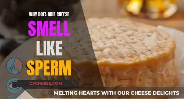 Brie Cheese: Smelly Mystery Behind the Taste