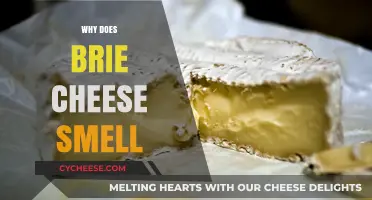 Unraveling the Aromatic Mystery: Why Does Brie Cheese Smell?