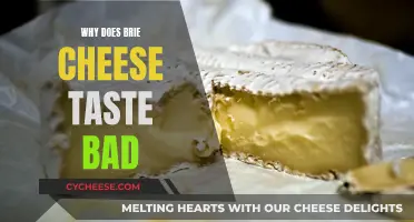 Brie Cheese: Why Does It Taste Awful?