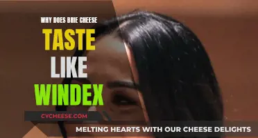 Unraveling the Mystery of Brie Cheese's Unique Taste