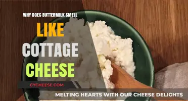 Why Buttermilk Smells Like Cottage Cheese: Unraveling the Dairy Mystery