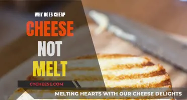 Cheese Secrets: Why Cheap Cheese Doesn't Melt