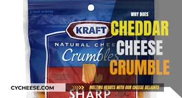 The Crumbling Mystery: Unraveling Cheddar's Unique Texture